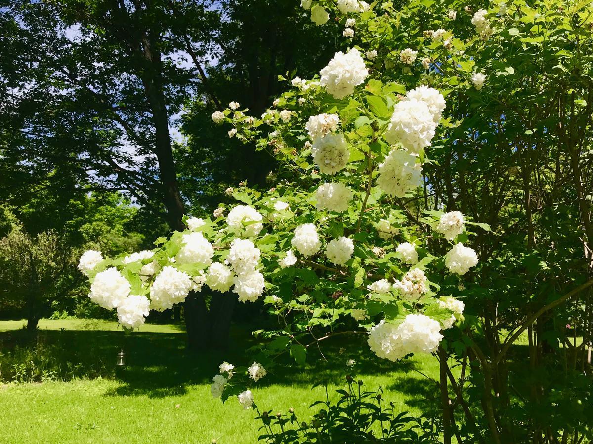 Auberge Tom B&B Chelsea Екстериор снимка